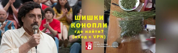 прущие грибы Козельск