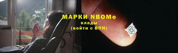 прущие грибы Козельск