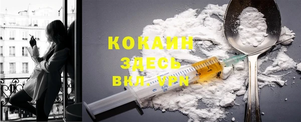прущие грибы Козельск