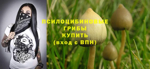 бутират Кодинск