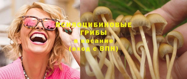 прущие грибы Козельск