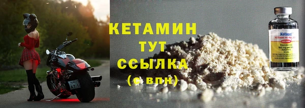 прущие грибы Козельск